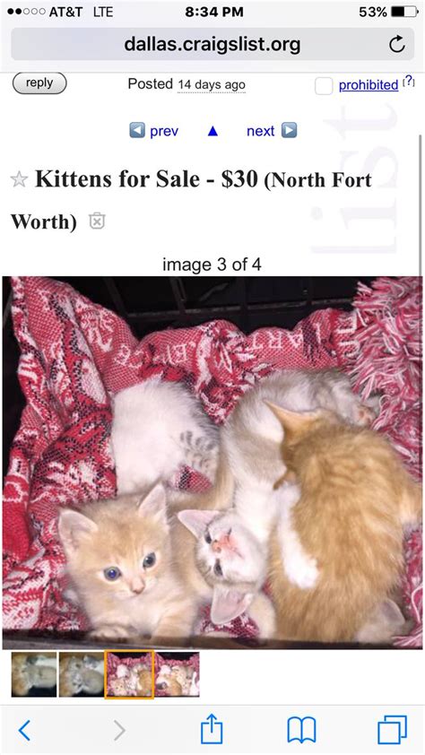 Dallas fort worth craigslist pets - craigslist Housing in Dallas / Fort Worth. see also. 1/bd, Dishwasher, Irving TX. $1,305. 1400 Esters Rd, Irving, TX Air Conditioner, Off Street Parking, Patio/Balcony. $1,188 ... Pets Welcome Here! $1,655. Dallas CO-WORKING… DEDICATED DESK ON …